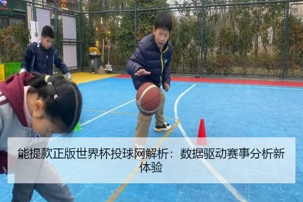能提款正版世界杯投球网解析：数据驱动赛事分析新体验